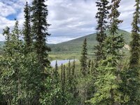 IMG_2066.jpg