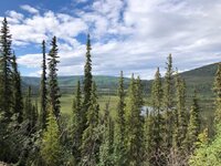 IMG_2067.jpg