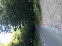IMG_5629.jpg