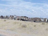 PH000020.jpg