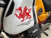 IMG_3933.jpg