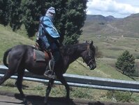 PH000524.jpg