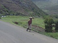 PH000560.jpg