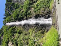 IMG_2143.jpg