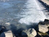 IMG_2150.jpg