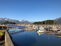IMG_2158.jpg