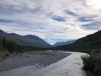 IMG_2185.jpg