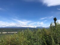 IMG_2216.jpg