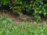 P1020629 (1).jpg
