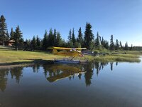 IMG_2248.jpg