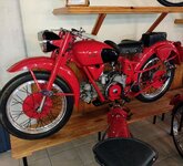 IMG_20221004_150822158.jpg