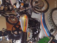IMG_20221004_150949956.jpg