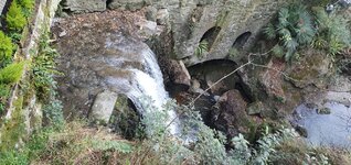 20230228_111611.jpg