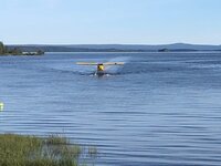 IMG_2259.jpg