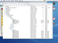 screen.jpg
