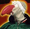 dustin_tt.jpg