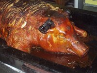 p4120005 pig.jpg