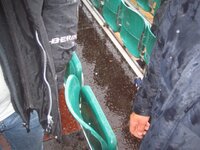zzzzhailstones.jpg