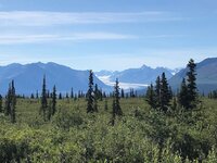 IMG_2273.jpg