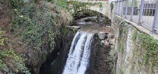 20230228_115822.jpg