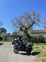 D1FB6609-77CE-487D-8A71-B6BD2EE2F3A9.jpg