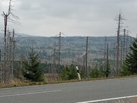 IMG_20220913_164421178_MFNR.jpg