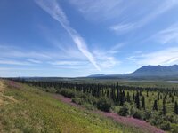 IMG_2283.jpg