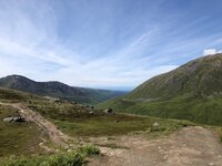 IMG_2289.jpg
