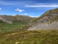 IMG_2290.jpg