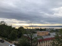 IMG_2329.jpg