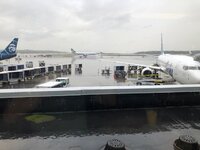 IMG_2357.jpg