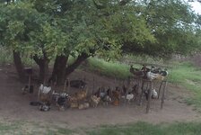 PH000145.jpg