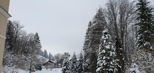 20230301_143142.jpg