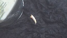 PH000308.jpg