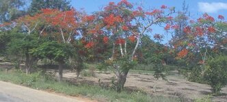 PH000319.jpg