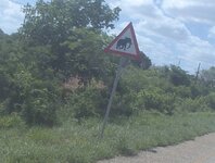 PH000305.jpg