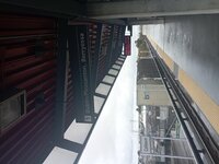 IMG_20230506_103647.jpg