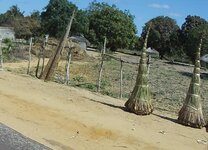 PH000334.jpg