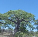 PH000353.jpg