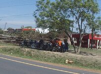 PH000436 (1).jpg