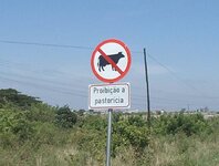PH000415.jpg
