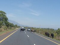 PH000440 (1).jpg