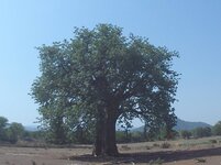 PH000781.jpg