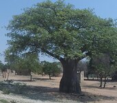PH000832.jpg