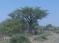PH000843.jpg