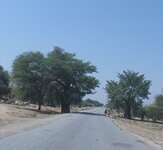 PH000813.jpg