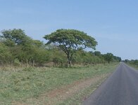 PH000567 (1).jpg