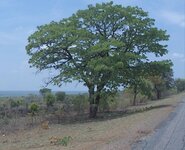 PH000746.jpg