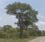 PH000761.jpg