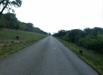 PH000353 (1).jpg